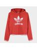 adidas阿迪达斯三叶秋季女子保暖舒适时尚套头衫卫衣DH2944