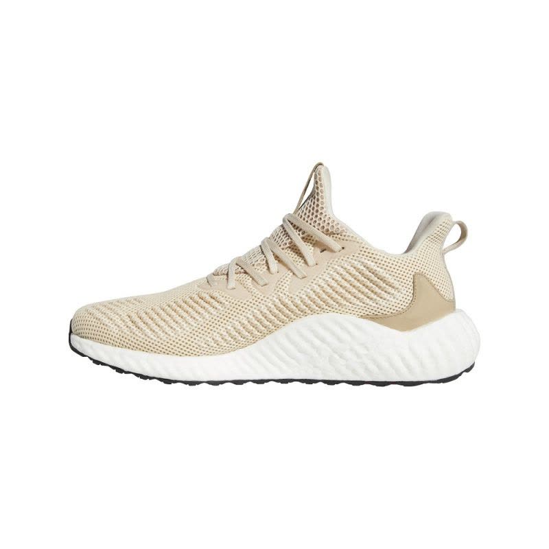 ADIDAS(阿迪)2019alphaboost m BF冬季男子跑步鞋EF1164图片