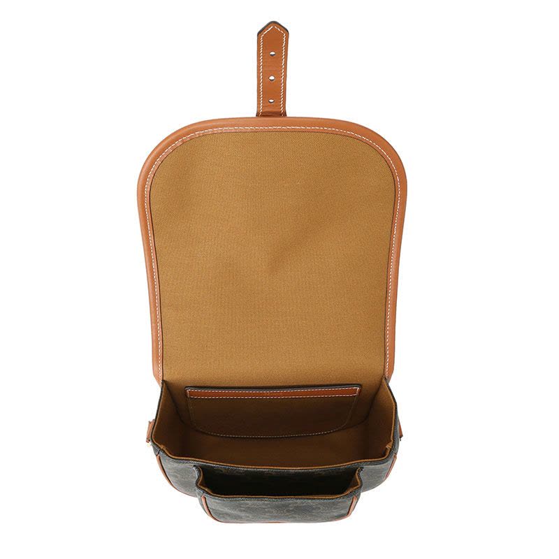 【预定】CELINE FOLCO TRIOMPHE帆布中号手袋 涂层帆布/牛皮革 18*17*6.5CM图片