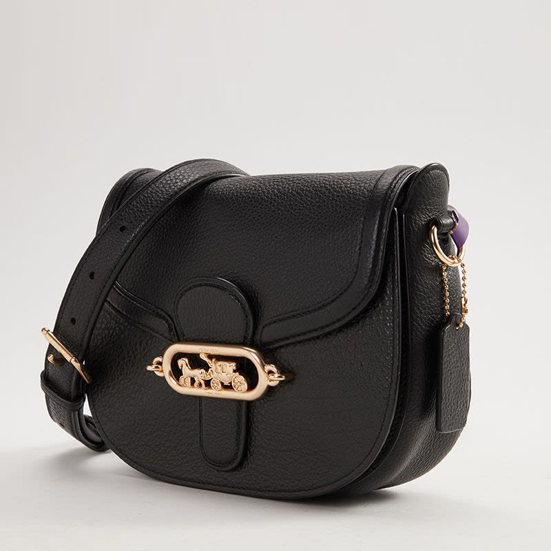 COACH GEORGIE 马鞍包图片