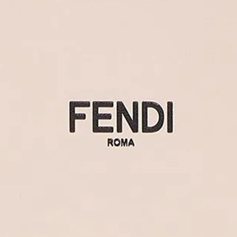 预售 芬迪FENDI VERTICAL BOX 盒子字母logo 女士手提包 8BT339图片