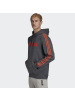 Adidas阿迪达斯2020秋季新款男子连帽套头衫运动服卫衣上衣FM6051