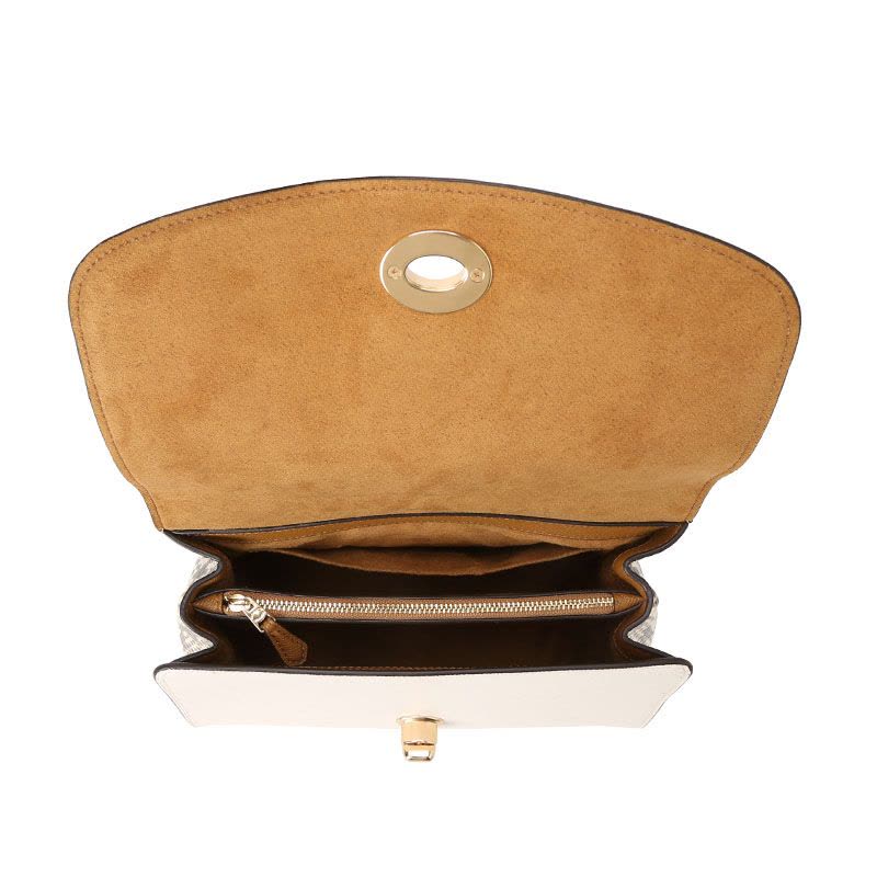 COACH TILLY手提单肩包F87667图片