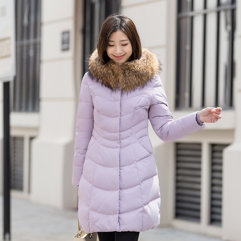 服装鞋帽>女装>女士羽绒服>千仞岗(chericom)>千仞岗(chericom)女士