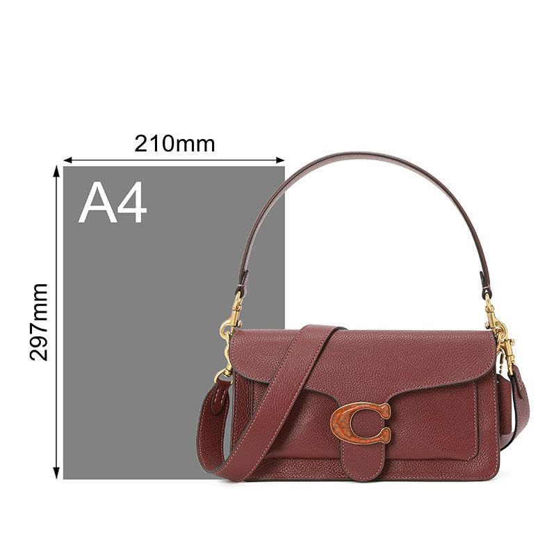 COACH TABBY通勤肩背 粒面皮4607图片