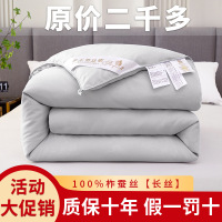 手工蚕丝被100%柞蚕丝被酒店民宿被芯夏凉被春秋四季被子母被 200*2304斤夏被 甄选灰