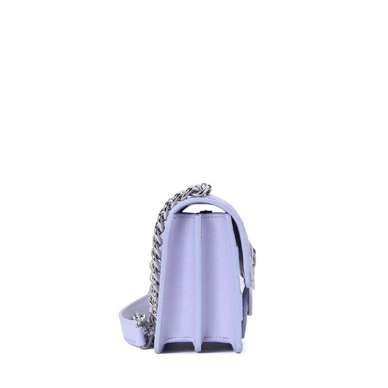 Pinko/品高 LOVE STRIPES BIRDS印花单肩包 迷你 1P21AA图片