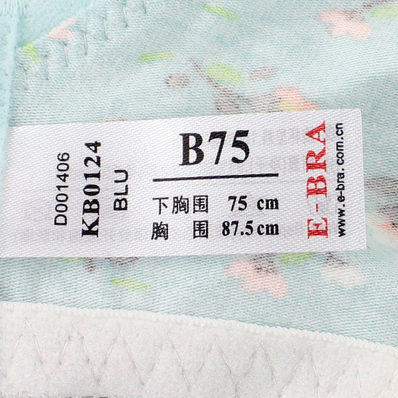 安莉芳旗下E-BRA女士小胸内衣厚杯聚拢文胸KB0124