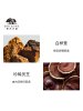 悦木之源 ORIGINS韦博士灵芝焕能好底子精华面膜 75mL 修护强韧净化亮肤(有效期至2024.2)