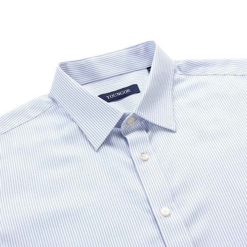 youngor/雅戈尔秋季新品男士商务正装纯棉蓝色dp免熨长袖衬衫365ija