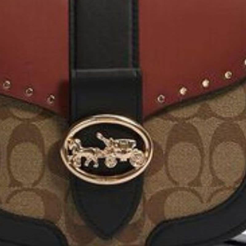 COACH 马鞍包 马车标 织物拼皮 C3593图片