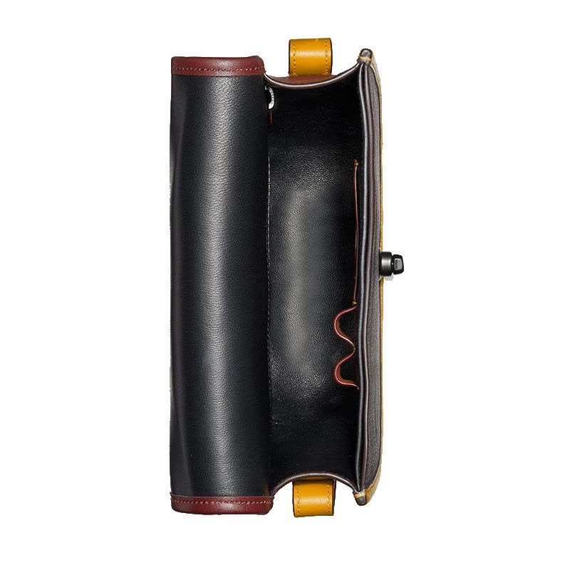 【预定】COACH/蔻驰Saddle 旋转扣单肩包 拼色195 22*19*7CM图片