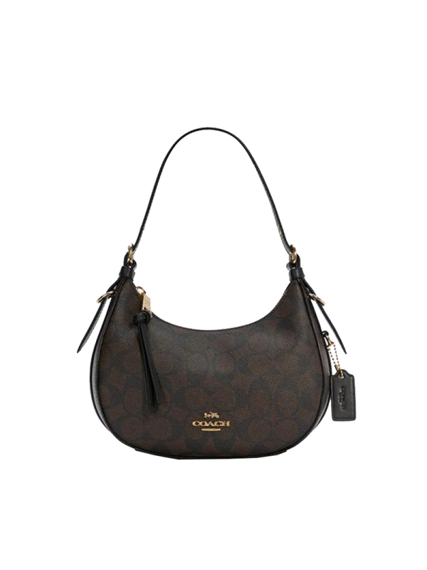 COACH蔻驰 KLEO HOBO 腋下包 C7257 奢侈品女包