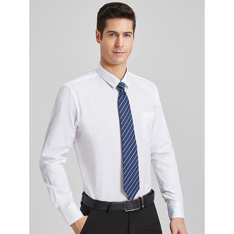 红豆相思鸟男装当季新品商务百搭时尚休闲长袖男士衬衫图片