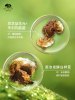 悦木之源 ORIGINS韦博士灵芝焕能好底子精华素 50mL 维稳保湿