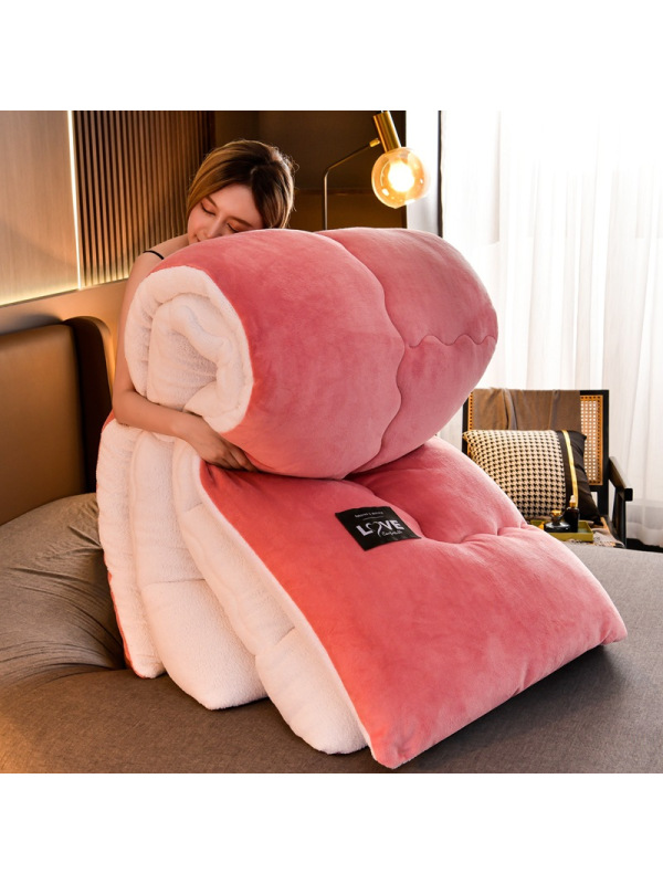 家用双面羊羔绒被子冬被加厚保暖羽丝绒被芯全棉牛奶绒冬棉被