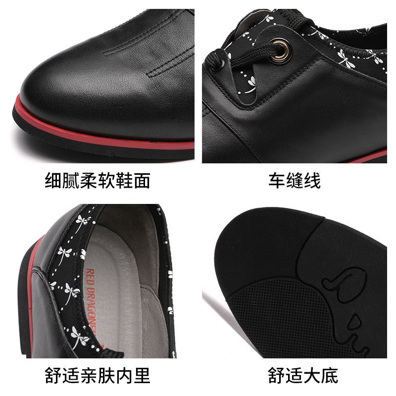 红蜻蜓男鞋春季新款真皮韩版潮流商务休闲皮鞋系带百搭板鞋子