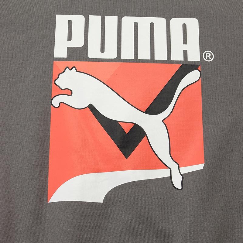PUMA彪马男装运动服休闲圆领卫衣599278