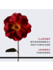 CHANEL 香奈儿 一号红山茶花精华液 30ml护肤保湿抗皱