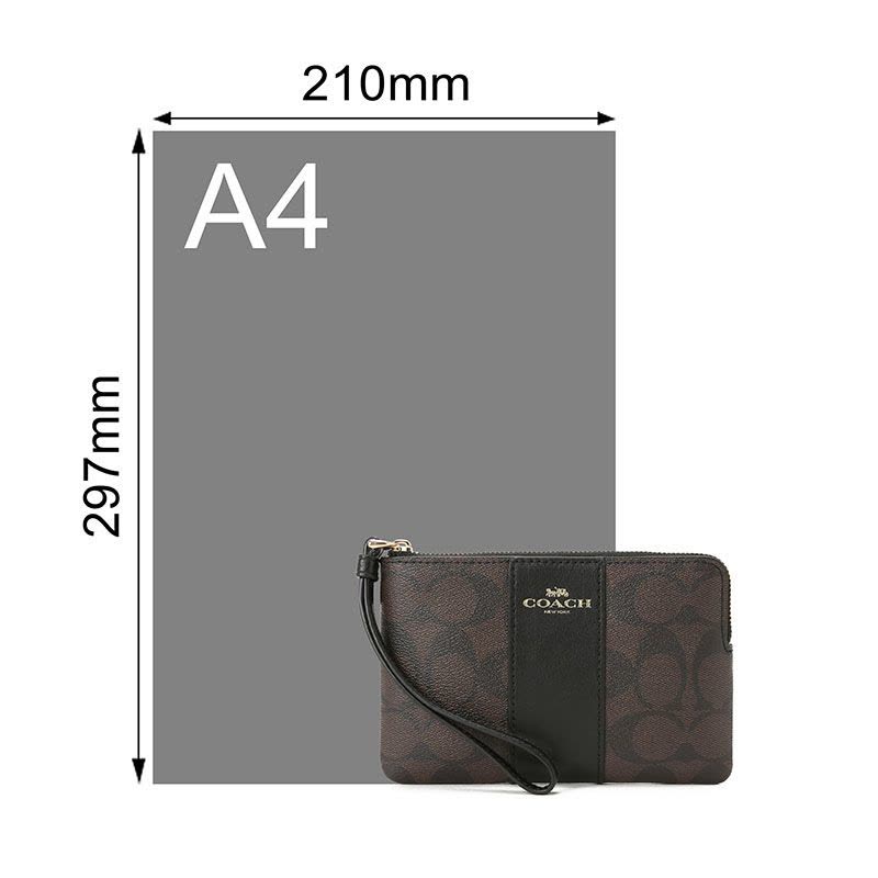 COACH 蔻驰 女士手包 手拿包 字母马车标织物F58035金扣图片