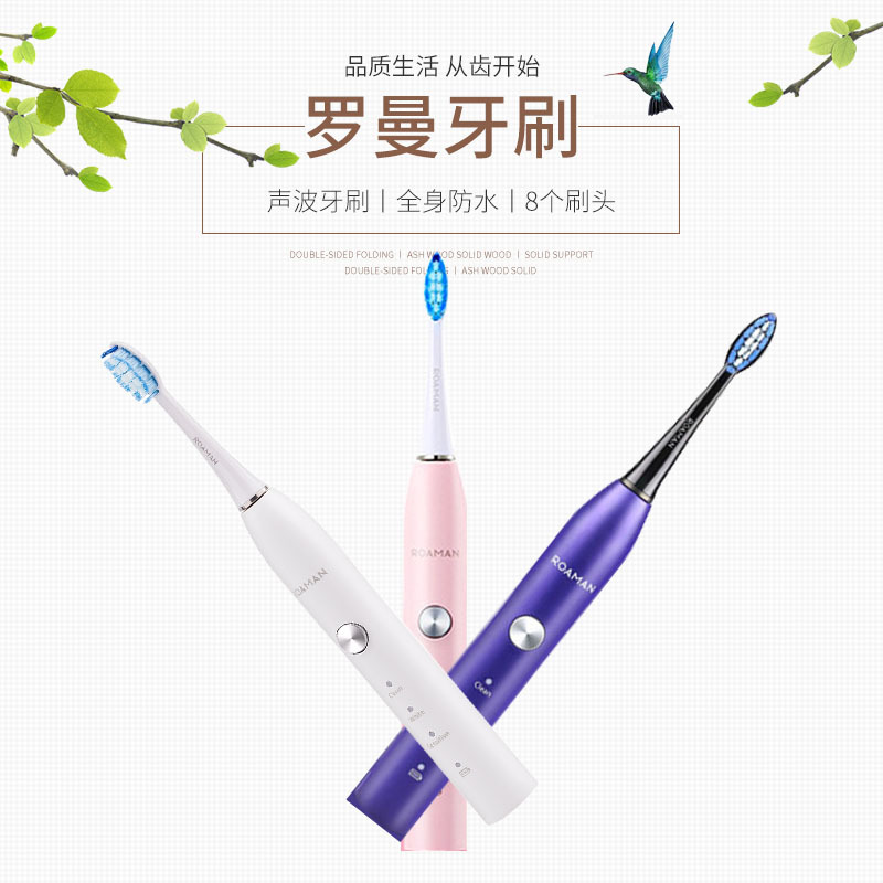 罗曼（ROAMAN） 声波电动牙刷 自动牙刷充电式家用防水软毛电动牙刷头 T5 银色