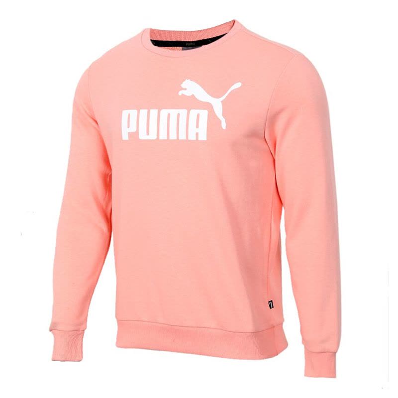 Puma彪马男外套休闲舒适卫衣套头衫844531-99图片