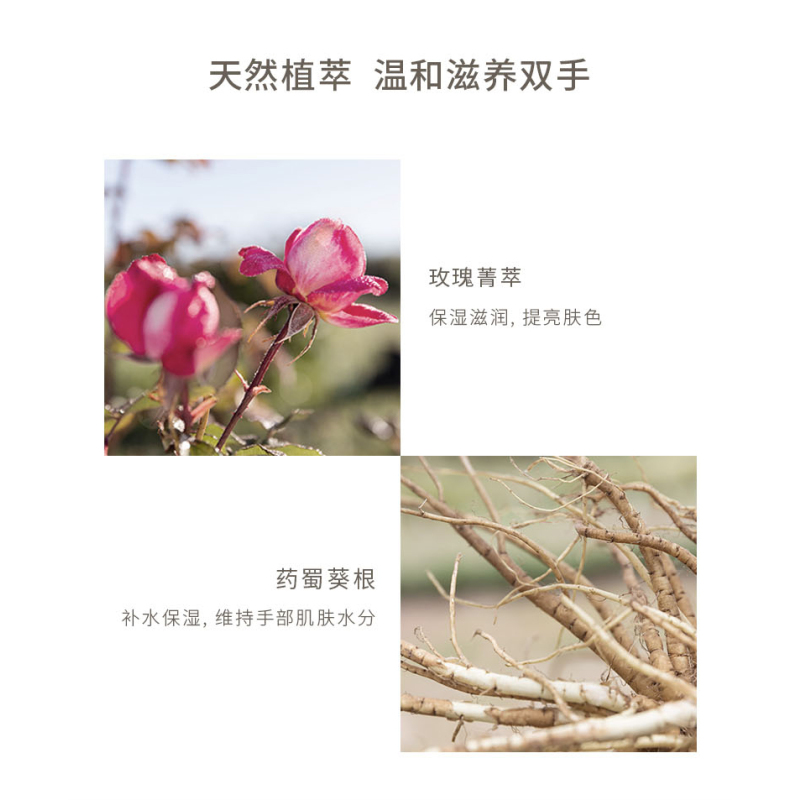 Jurlique/茱莉蔻玫瑰柔肤洗手液天然植萃清洁手部护理温和清洁曼妙香气柔嫩滋养洗手液300ml
