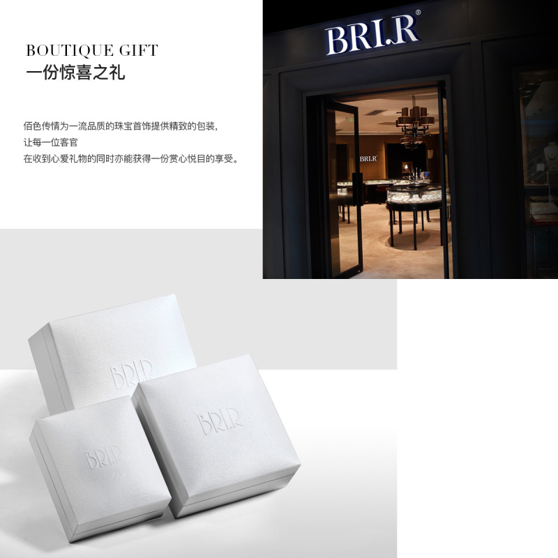 佰色传情(BRIR) 耳环女气质s925纯银耳钉韩国个性简约耳饰百搭长款流苏耳线 BYE685