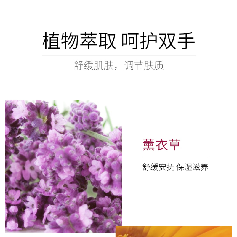 Jurlique/茱莉蔻薰衣草护手霜护手乳霜手部保养保湿不油腻 125ml