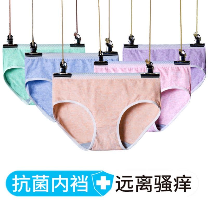 女士内裤厂家彩棉抑菌内裤生理裤女生内裤性感一片式三角裤图片