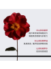 CHANEL香奈儿 一号红山茶花面霜(滋润) 熬夜淡纹 小样