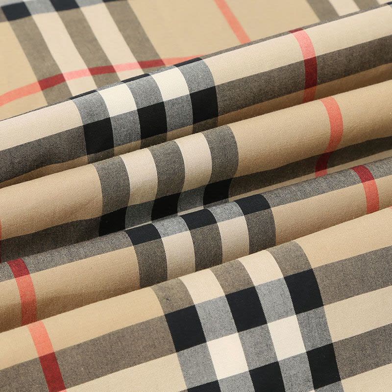 BURBERRY VINTAGE 长袖衬衫 经典格纹 棉质 8020863图片