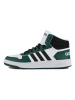 阿迪达斯adidas neo HOOPS 2.0 MID男休闲运动鞋FW5995
