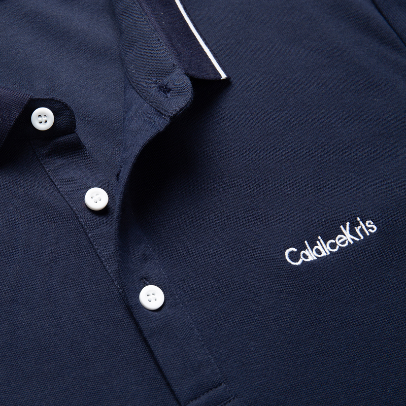 Caldicekris 男士2020秋季新款商务休闲POLO衫中青年翻领上衣