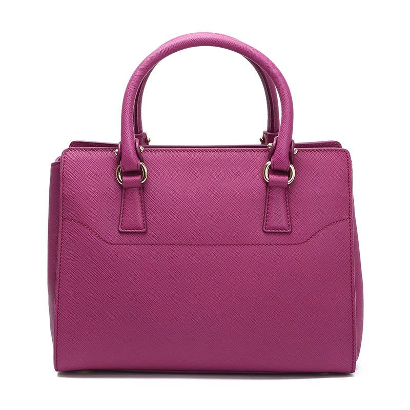 FERRAGAMO Beky 小号 手提 斜挎包21F317 金扣图片
