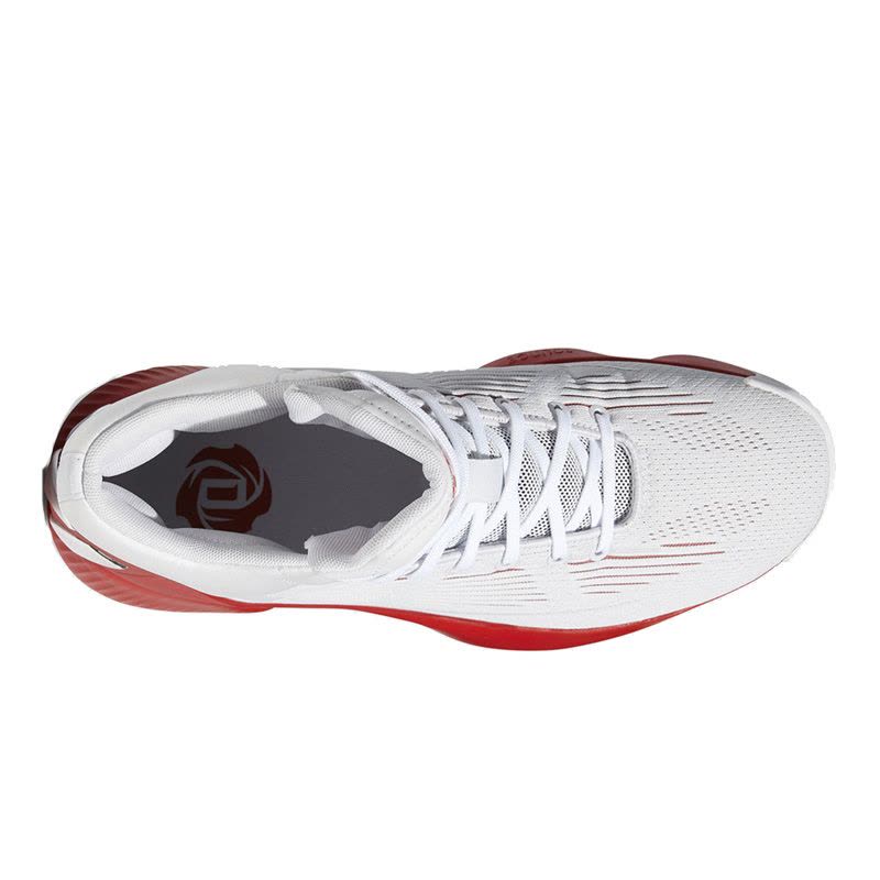 Adidas阿迪达斯夏季男子Rose 10罗斯10代场地实战篮球鞋EH2100图片