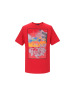TRUSSARDI 短袖T恤 棉质 32T00167
