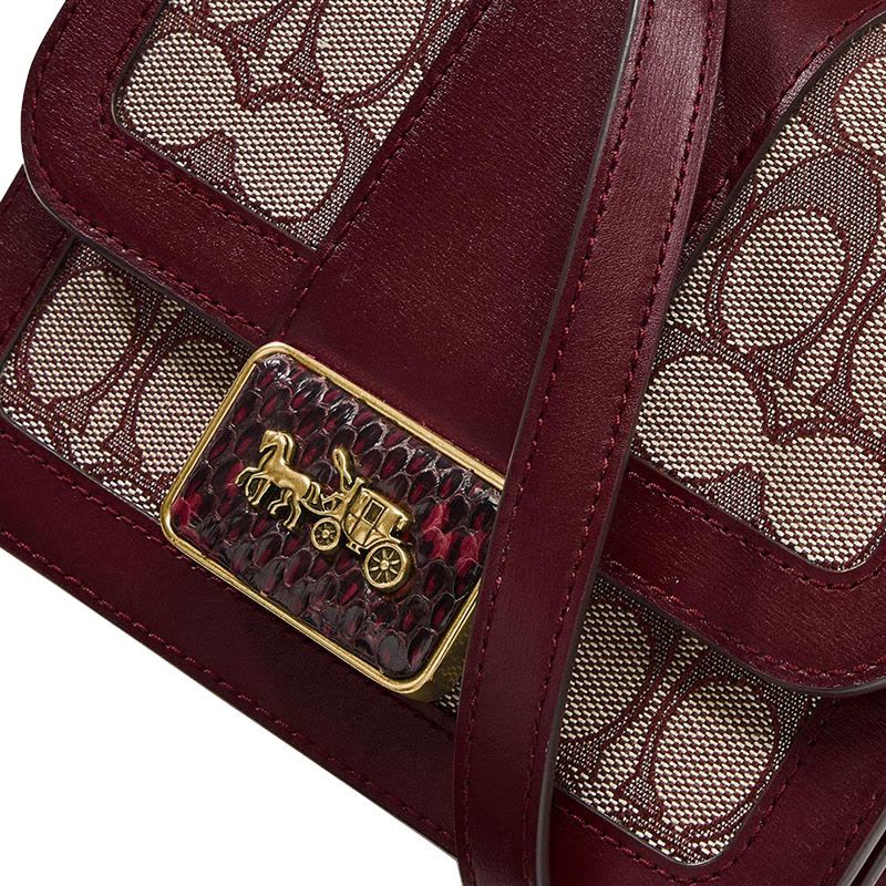 预售COACH\蔻驰 Alie 口盖包 单肩包 斜挎包方扣马车不标老花拼皮4616图片