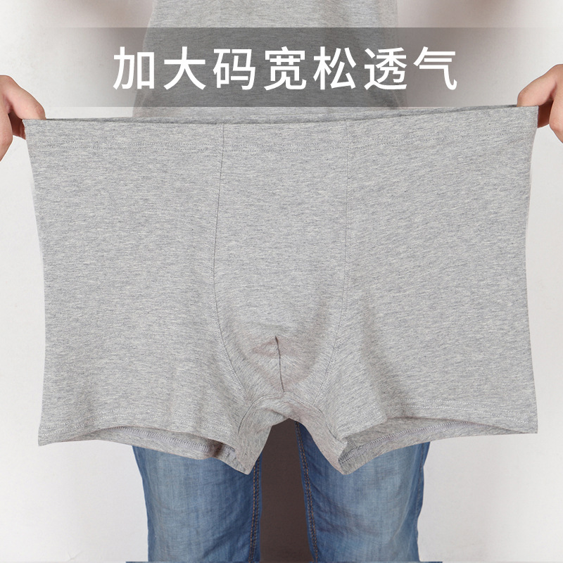 彼尔丹 4条盒装彼尔丹男士内裤加大码纯棉平角裤肥佬裤