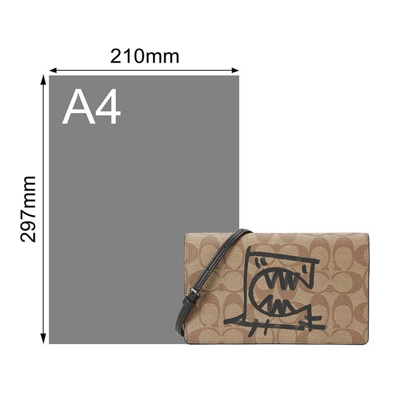 COACH 蔻驰 涂鸦 斜挎包 女士斜挎包 涂鸦织物F9944银扣图片