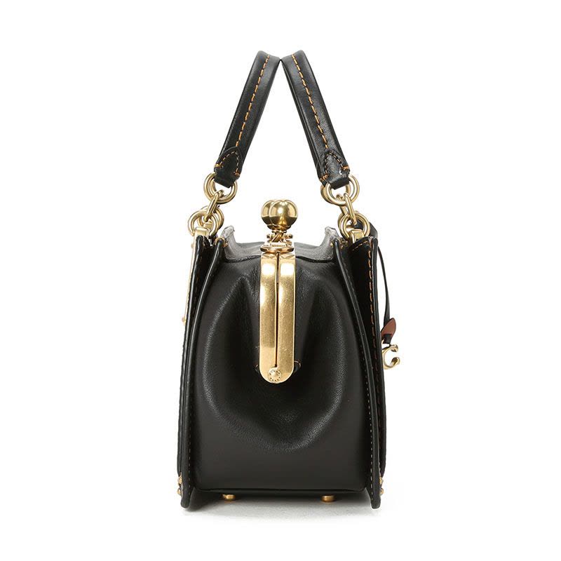 COACH Dreamer 21 单肩手提包73936图片