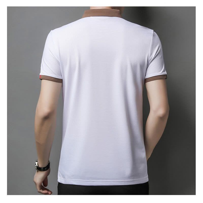 Ceen Bulled男式polo衫 短袖翻领纯色T恤商务休闲工作服装夏薄款刺绣印字logo图片