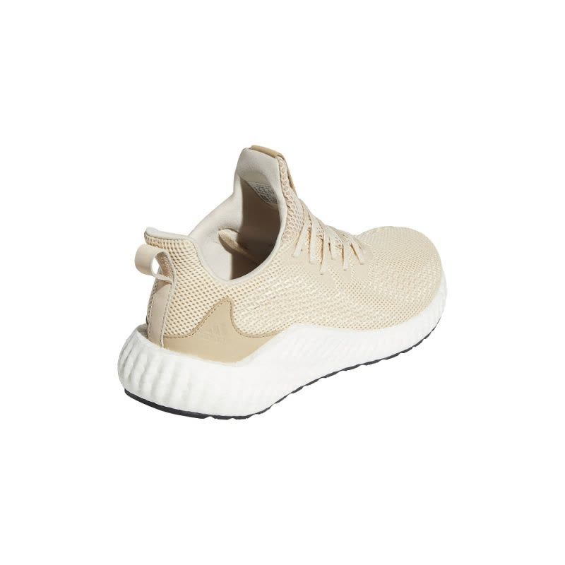 ADIDAS(阿迪)2019alphaboost m BF冬季男子跑步鞋EF1164图片