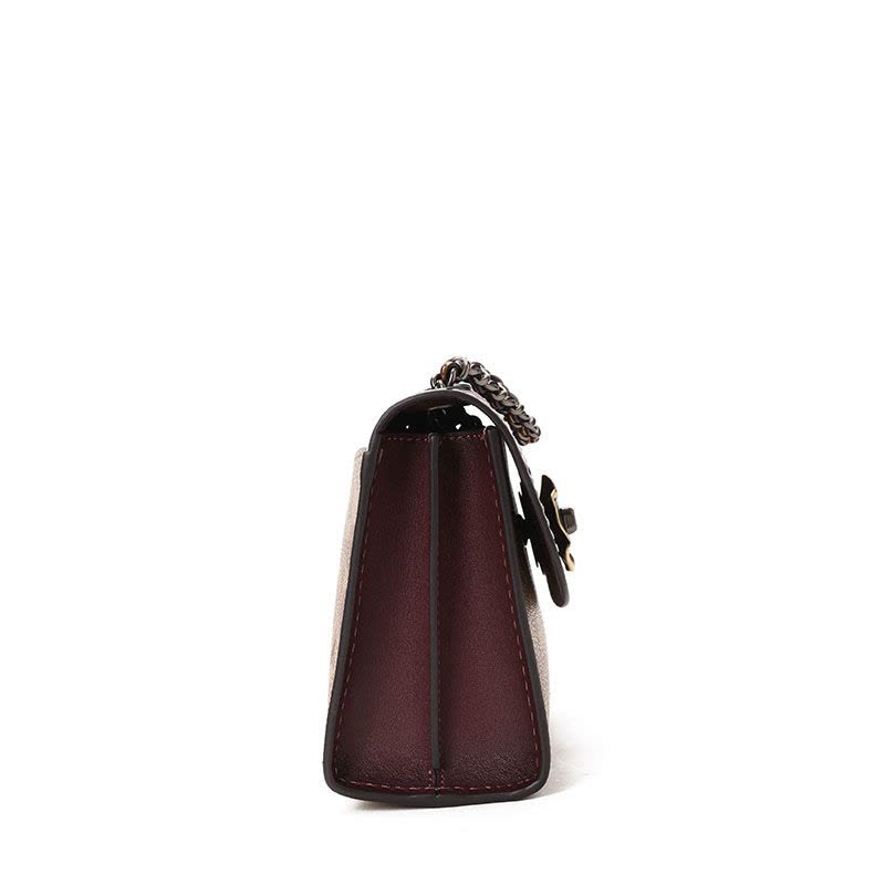 Coach PARKER 18 山茶花单肩包 30591图片
