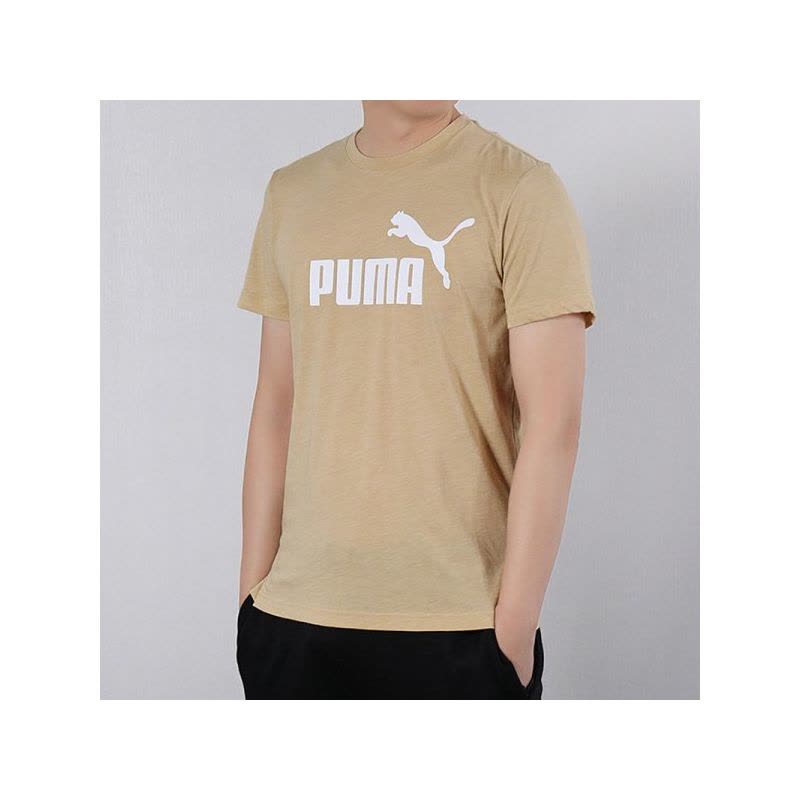 Puma彪马跑步短袖男上衣潮春夏运动衫休闲透气T恤855399-41图片