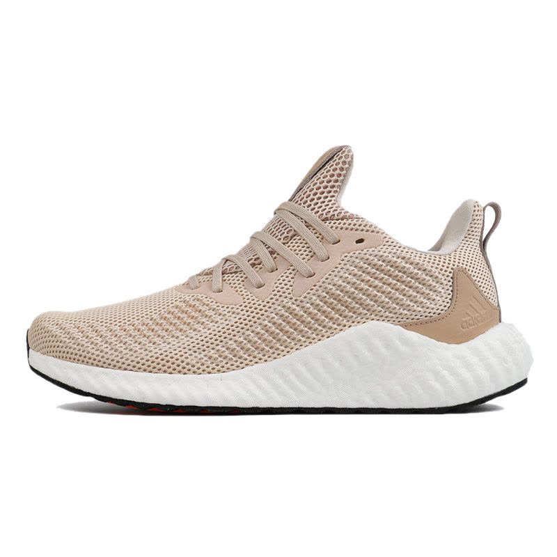 ADIDAS(阿迪)2019alphaboost m BF冬季男子跑步鞋EF1164图片