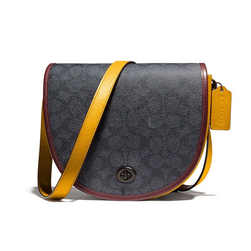 【预定】COACH/蔻驰Saddle 旋转扣单肩包 拼色195 22*19*7CM图片