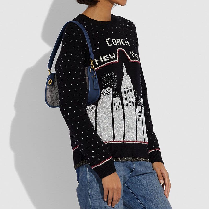 COACH蔻驰 SWINGER 腋下包 单肩包 织物椭圆扣 C0721 棕色拼色图片