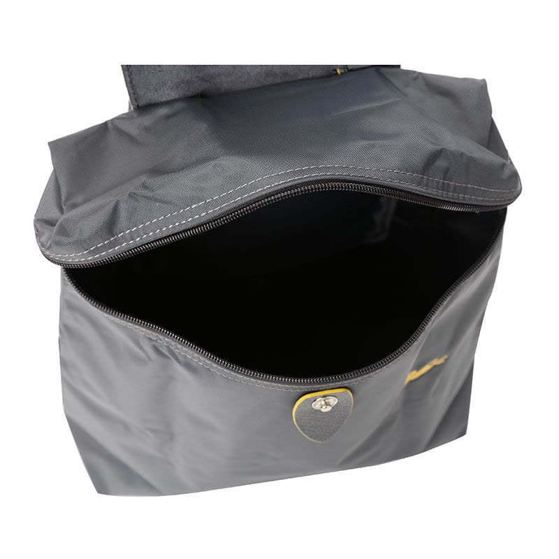 LONGCHAMP/珑骧 女包尼龙折叠双肩包 1699图片