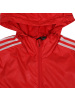 ADIDAS阿迪达斯新款 女子夹克EH3909